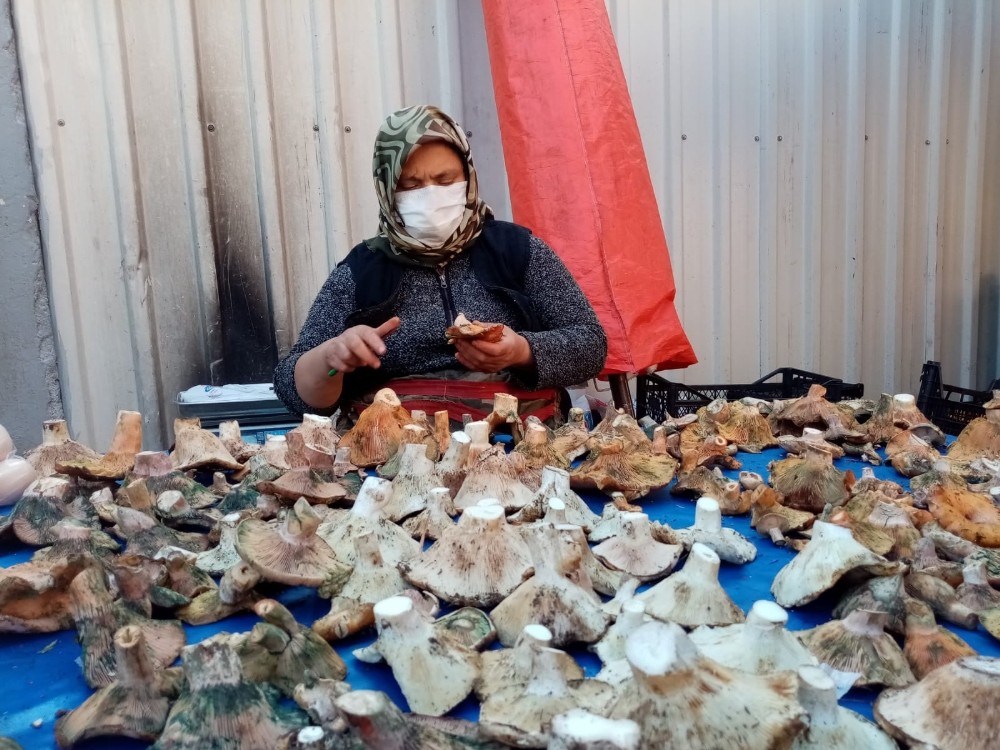 havalar kurak gidince mantar fiyatlari yuzde 100 zamlandi 2 PhrsX5ad Havalar kurak gidince mantar fiyatları yüzde 100 zamlandı