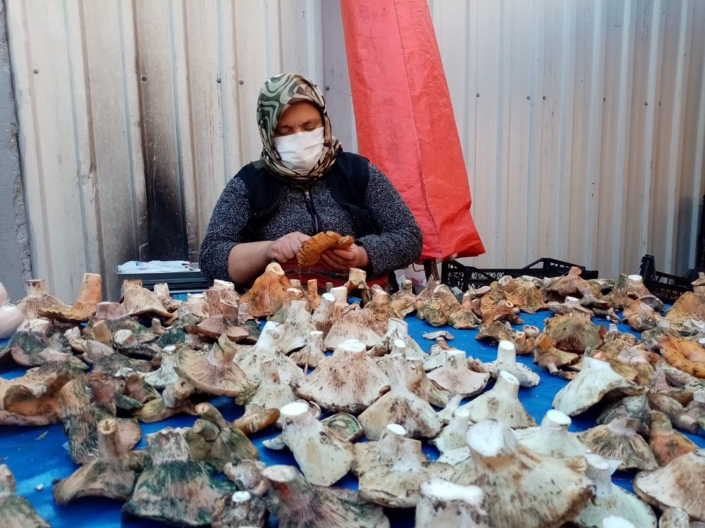 havalar kurak gidince mantar fiyatlari yuzde 100 zamlandi 3 vFJlqnb1 Havalar kurak gidince mantar fiyatları yüzde 100 zamlandı