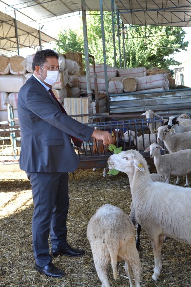 iskur aydin il mudurlugu turkiye genelinde 4uncu oldu 1 2gRmjmsl İŞKUR Aydın İl Müdürlüğü Türkiye genelinde 4’üncü oldu