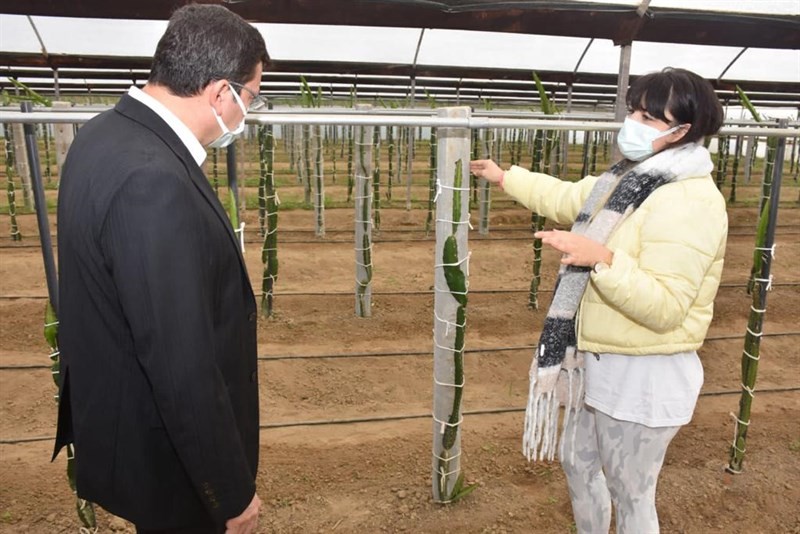 kaymakam sahin efeler diyarinda pitaya projesi kapsaminda ureticilerle bir araya geldi 1 Y9KlnCOb Kaymakam Şahin, ’Efeler Diyarında Pitaya’ Projesi kapsamında üreticilerle bir araya geldi