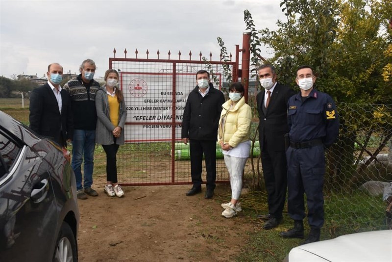 kaymakam sahin efeler diyarinda pitaya projesi kapsaminda ureticilerle bir araya geldi 2 XpN2l3tz Kaymakam Şahin, ’Efeler Diyarında Pitaya’ Projesi kapsamında üreticilerle bir araya geldi