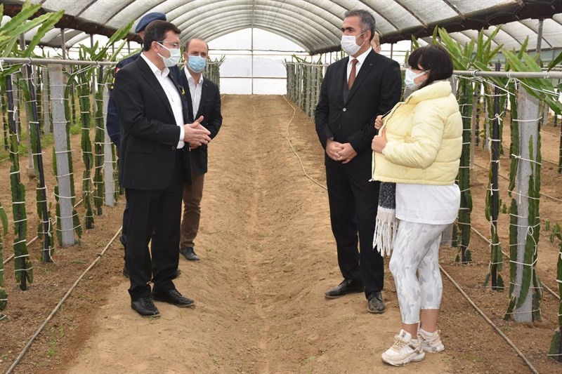 kaymakam sahin efeler diyarinda pitaya projesi kapsaminda ureticilerle bir araya geldi 5 tMqBSkRI Kaymakam Şahin, ’Efeler Diyarında Pitaya’ Projesi kapsamında üreticilerle bir araya geldi