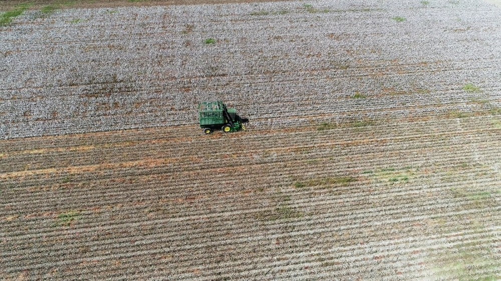 kurakliga ragmen aydinda sulama sezonu sorunsuz sona erdi 2 Kuraklığa rağmen, Aydın’da sulama sezonu sorunsuz sona erdi