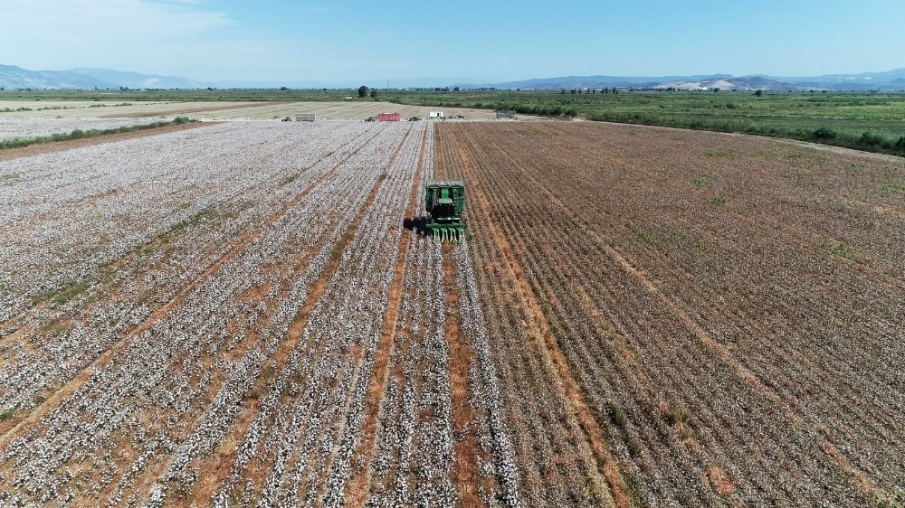 kurakliga ragmen aydinda sulama sezonu sorunsuz sona erdi 3 lqFJRksX Kuraklığa rağmen, Aydın’da sulama sezonu sorunsuz sona erdi