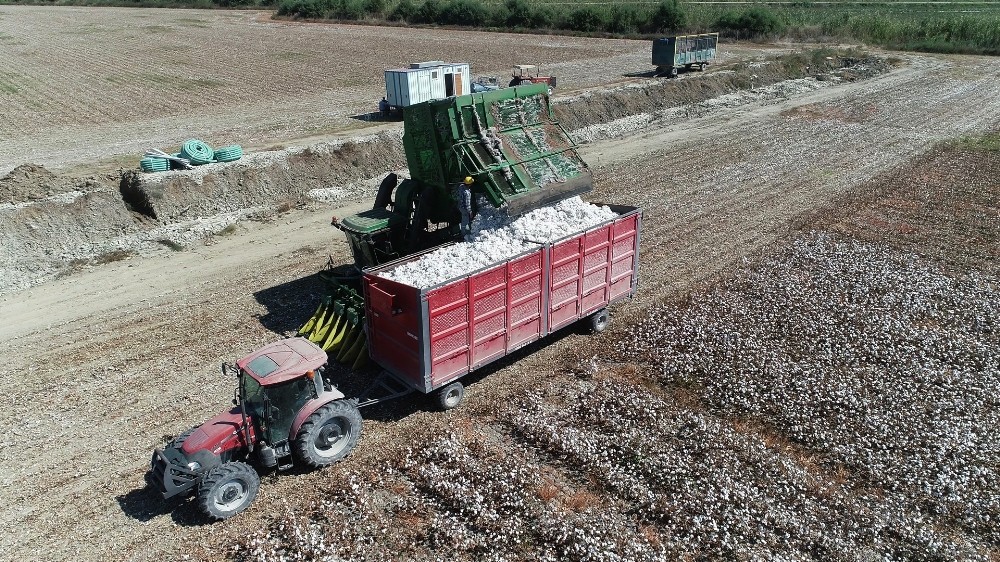 kurakliga ragmen aydinda sulama sezonu sorunsuz sona erdi 5 ktrkBk6W Kuraklığa rağmen, Aydın’da sulama sezonu sorunsuz sona erdi