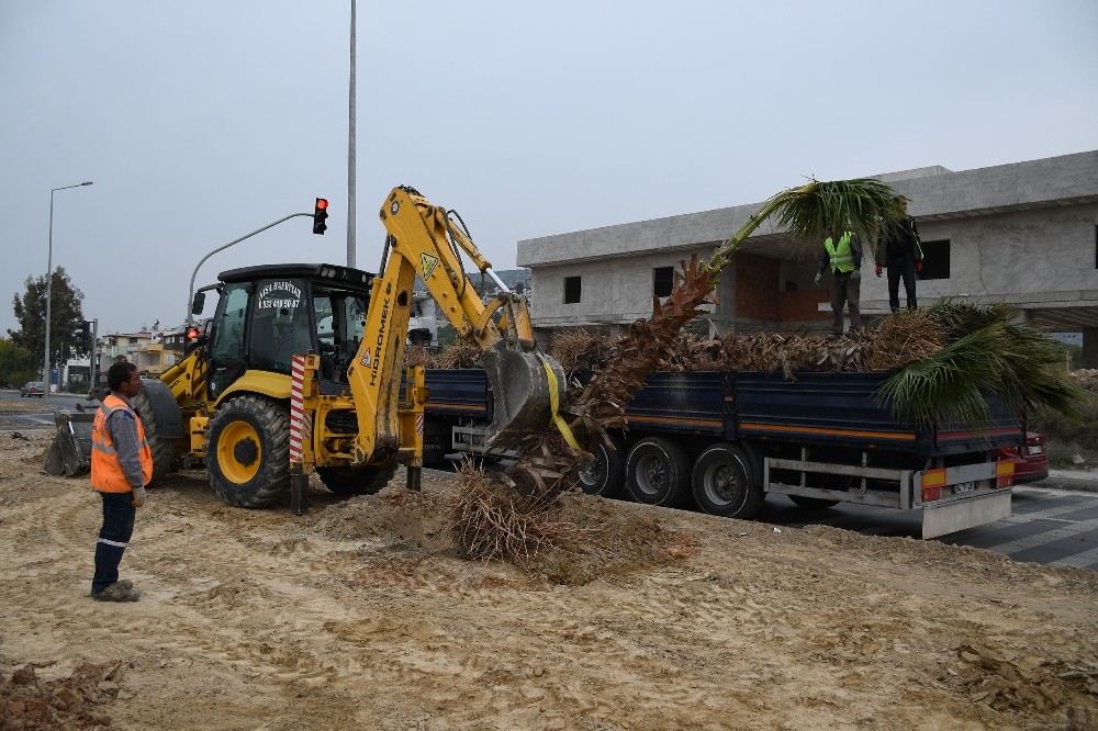 kusadasi cevre yolu refuj ve kavsaklarda peyzaj calismasi basladi 3 srlGL2ly Kuşadası çevre yolu refüj ve kavşaklarda peyzaj çalışması başladı