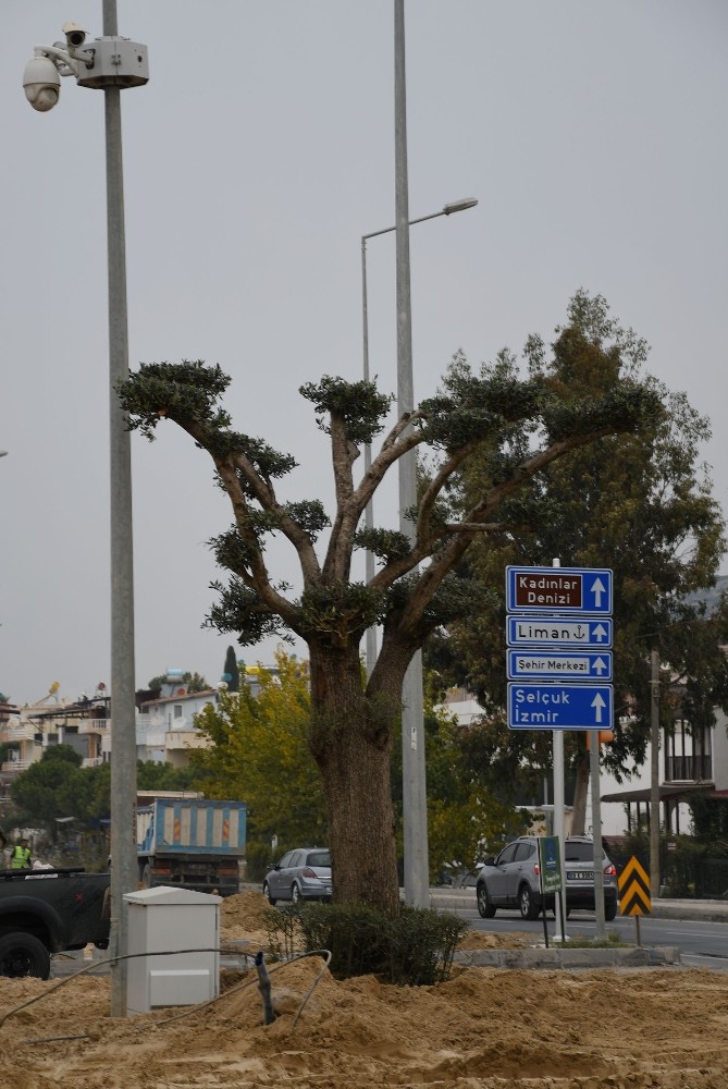 kusadasi cevre yolu refuj ve kavsaklarda peyzaj calismasi basladi 5 pPL39H3E Kuşadası çevre yolu refüj ve kavşaklarda peyzaj çalışması başladı