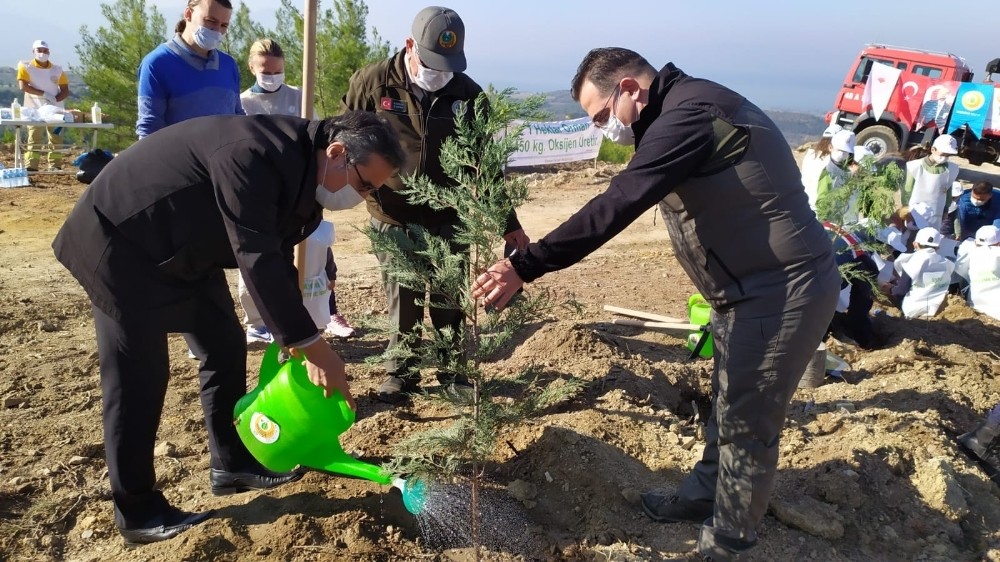 kusadasinda 150 kizilcam fidani toprakla bulustu 2 bMSzDvgP Kuşadası’nda 150 kızılçam fidanı toprakla buluştu