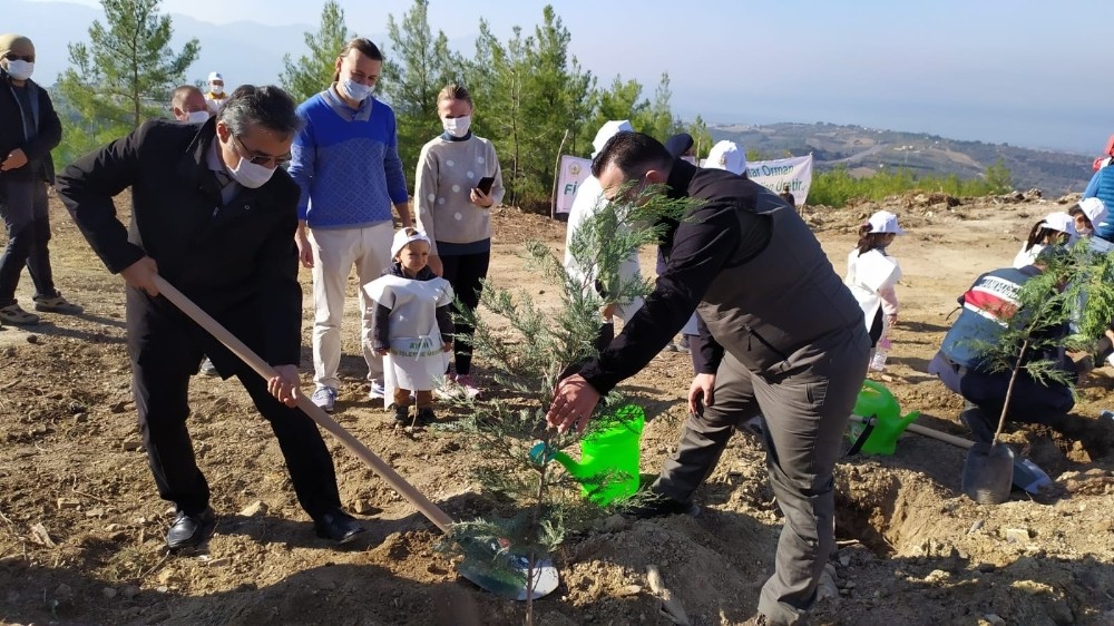 kusadasinda 150 kizilcam fidani toprakla bulustu 3 bu628KqW Kuşadası’nda 150 kızılçam fidanı toprakla buluştu