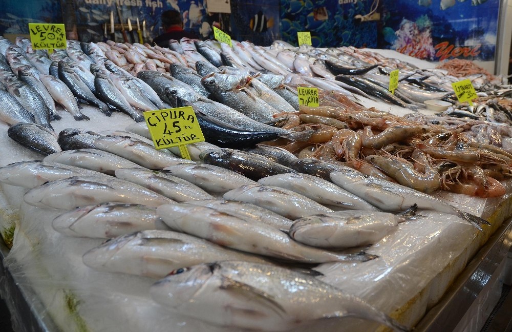 kusadasinda balik bereketi yasaniyor 2 qrLCQM44 Kuşadası’nda balık bereketi yaşanıyor