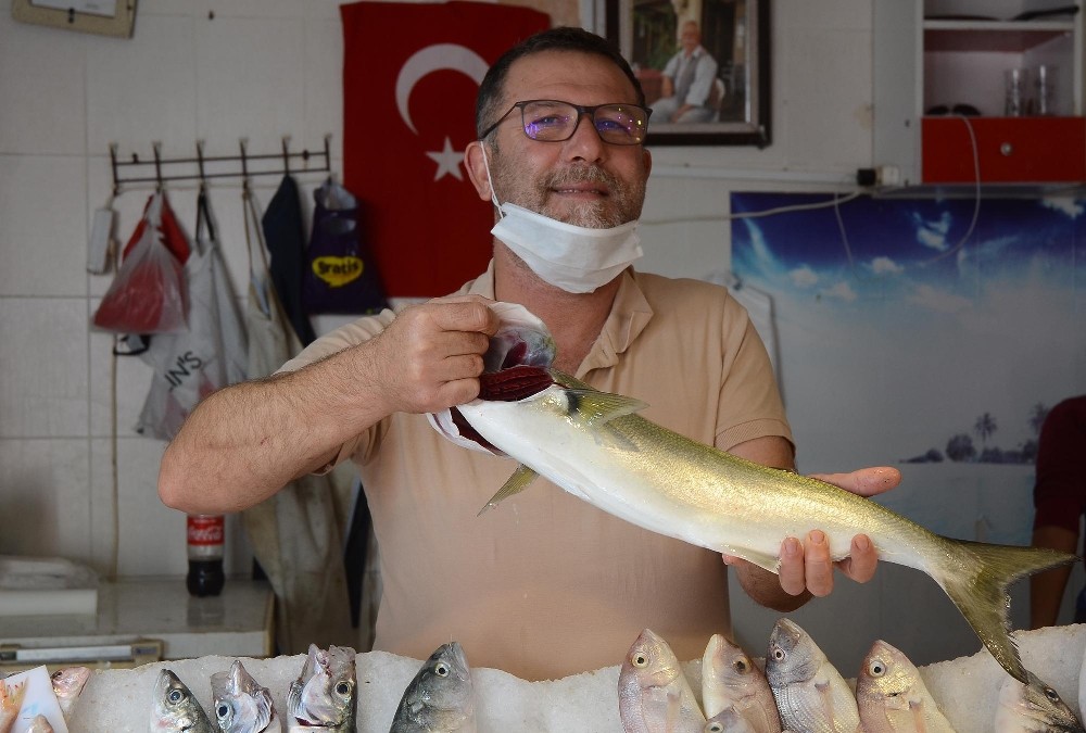 kusadasinda balik bereketi yasaniyor 4 EP3QaI7f Kuşadası’nda balık bereketi yaşanıyor