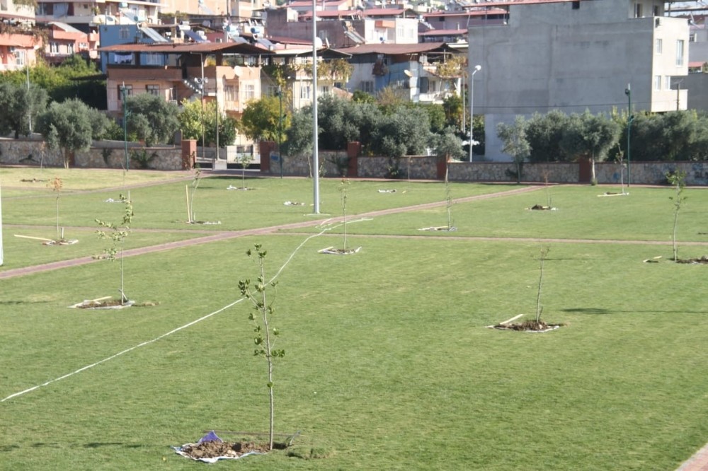 kuyucakta fidanlar toprakla bulustu 1 bmBwrQiw Kuyucak’ta fidanlar toprakla buluştu