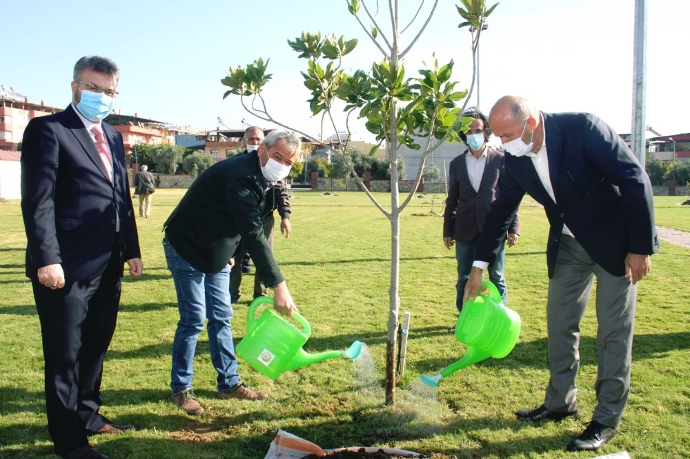 kuyucakta fidanlar toprakla bulustu 2 8qp2mVk6 Kuyucak’ta fidanlar toprakla buluştu