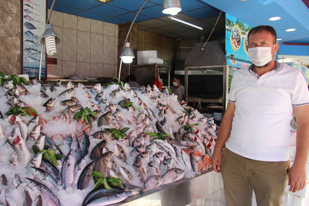 mevsim degisiklikleri baliklari da olumsuz etkiledi 1 SfNv67wC Mevsim değişiklikleri balıkları da olumsuz etkiledi