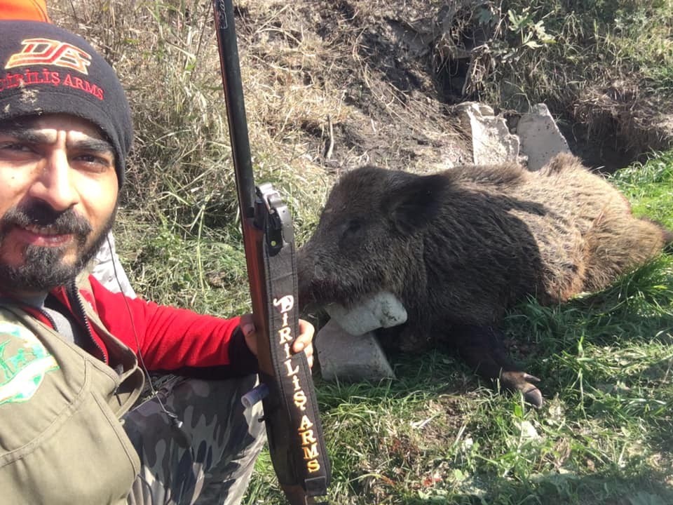 nazilli ovasini talan eden domuzlara karsi seferberlik baslatildi 1 Nazilli Ovasını talan eden domuzlara karşı seferberlik başlatıldı