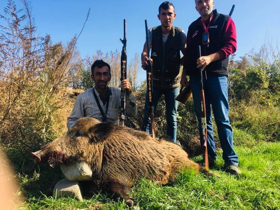 nazilli ovasini talan eden domuzlara karsi seferberlik baslatildi 3 AH6Cgfve Nazilli Ovasını talan eden domuzlara karşı seferberlik başlatıldı