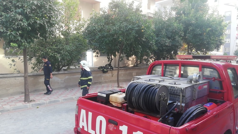 sigara izmariti mahalleyi duman altinda birakti 6 yDvd28fP Sigara izmariti, mahalleyi duman altında bıraktı