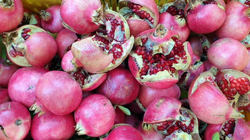 sultanhisarin yaylalarinda nar hasadi tamamlandi 2 VJd7dIYw Sultanhisar’ın yaylalarında nar hasadı tamamlandı