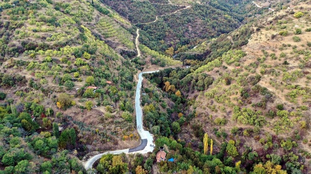 sultanhisarin yaylalarinda nar hasadi tamamlandi 5 FdSDr6qR Sultanhisar’ın yaylalarında nar hasadı tamamlandı