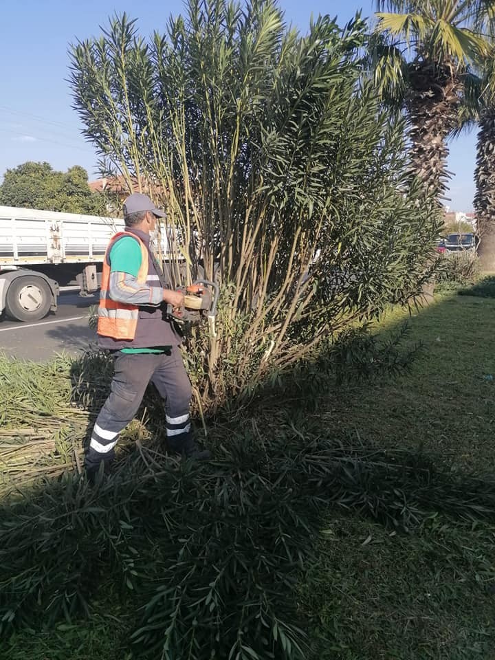 Umurlu’da yeşil alan temizlik çalışmaları devam ediyor 3 umurluda yesil alan temizlik calismalari devam ediyor 3 GrrUN4GX Umurlu’da yeşil alan temizlik çalışmaları devam ediyor