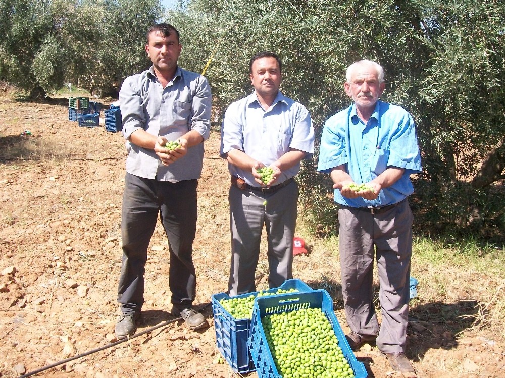 ziraat odasi baskani sevinc issizlik ve acliktan soz edenlere isyan etti 3 SFQ64NwJ Ziraat Odası Başkanı Sevinç, işsizlik ve açlıktan söz edenlere isyan etti
