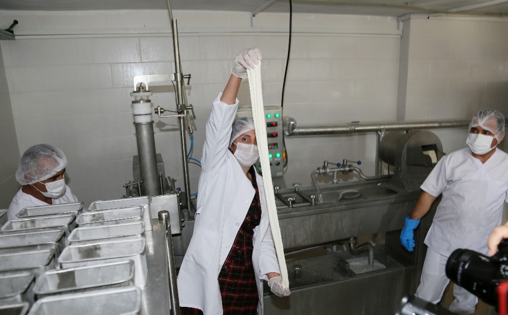 adu ziraat fakultesi kasar peyniri uretim tesisi acilisi gerceklesti 4 nWLL41aA ADÜ Ziraat Fakültesi Kaşar Peyniri Üretim Tesisi açılışı gerçekleşti