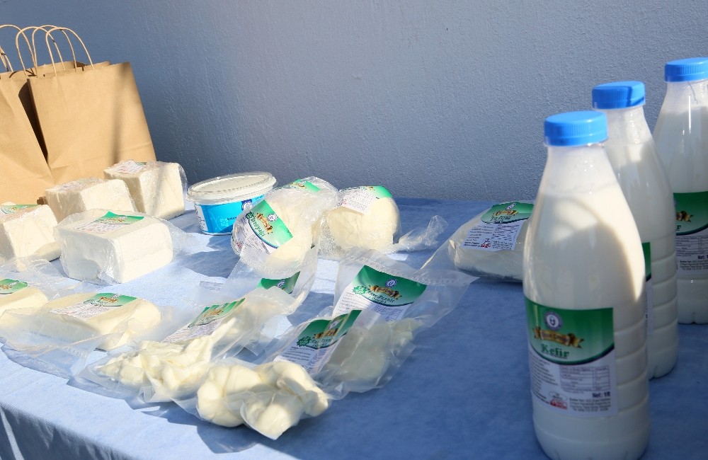 adu ziraat fakultesi kasar peyniri uretim tesisi acilisi gerceklesti 6 IWO662NA ADÜ Ziraat Fakültesi Kaşar Peyniri Üretim Tesisi açılışı gerçekleşti