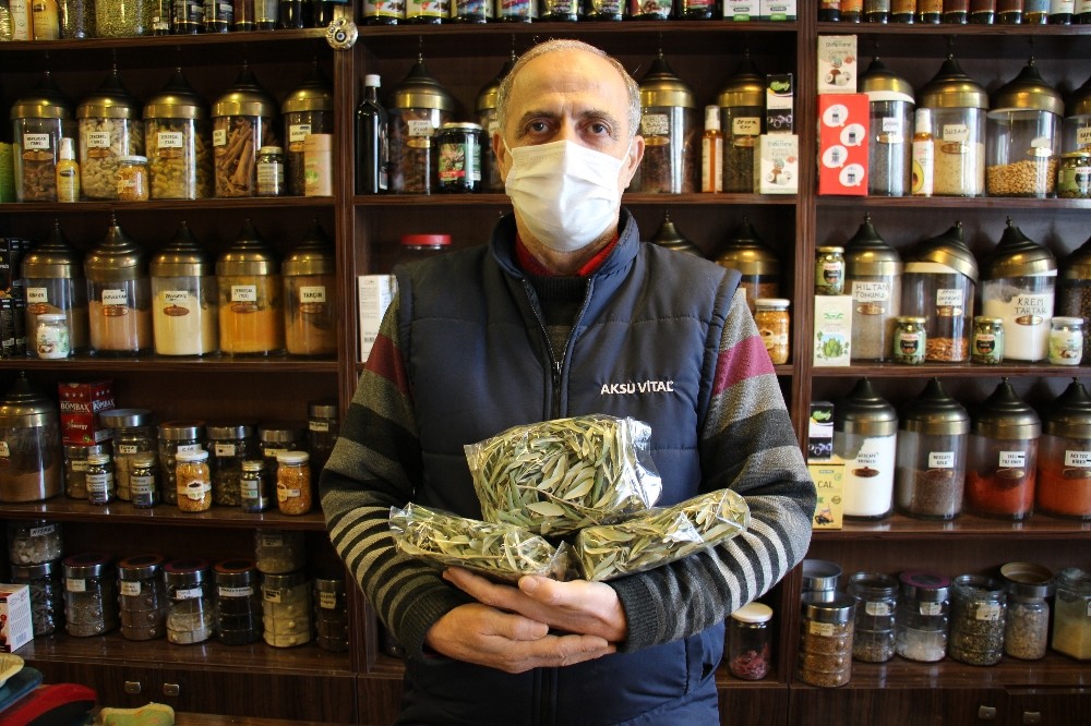 aktarlarda zeytin yapragi yok satiyor 1 SvHdZ715 Aktarlarda zeytin yaprağı yok satıyor