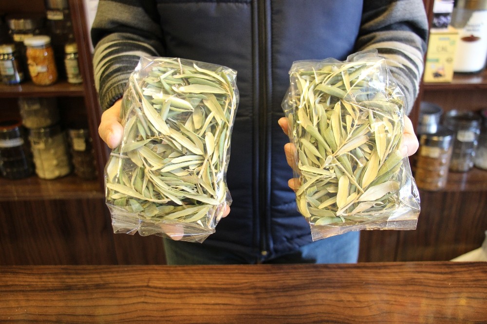 aktarlarda zeytin yapragi yok satiyor 2 Aktarlarda zeytin yaprağı yok satıyor