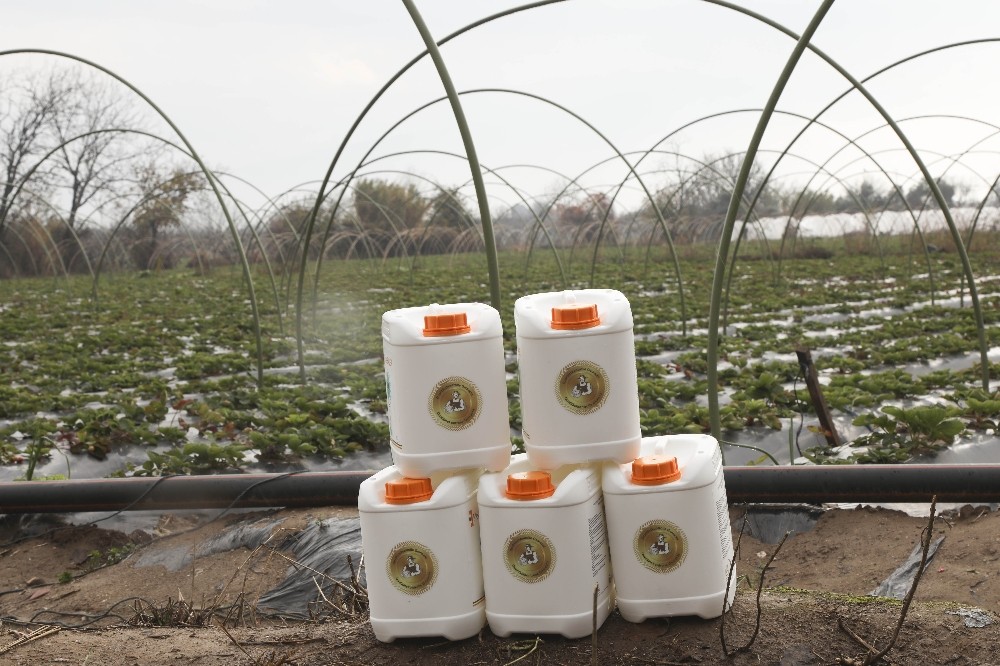 aydin buyuksehir belediyesinden ciftciye sivi gubre destegi 3 W4M4DMtr Aydın Büyükşehir Belediyesi’nden çiftçiye sıvı gübre desteği