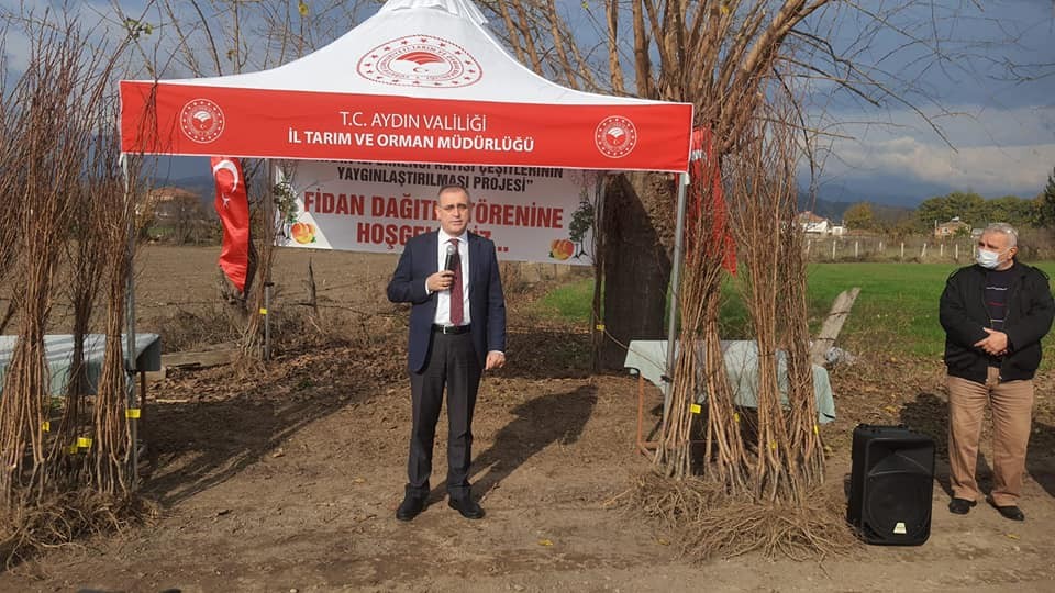 aydinda 21 bin 700 adet erkenci kayisi fidani dagitildi 2 tRKXts4y Aydın’da 21 bin 700 adet erkenci kayısı fidanı dağıtıldı