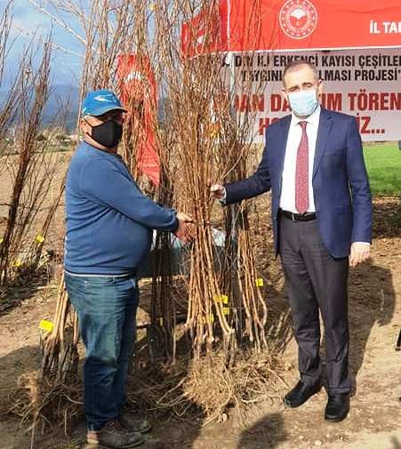 aydinda 21 bin 700 adet erkenci kayisi fidani dagitildi 3 kNN8utOw Aydın’da 21 bin 700 adet erkenci kayısı fidanı dağıtıldı