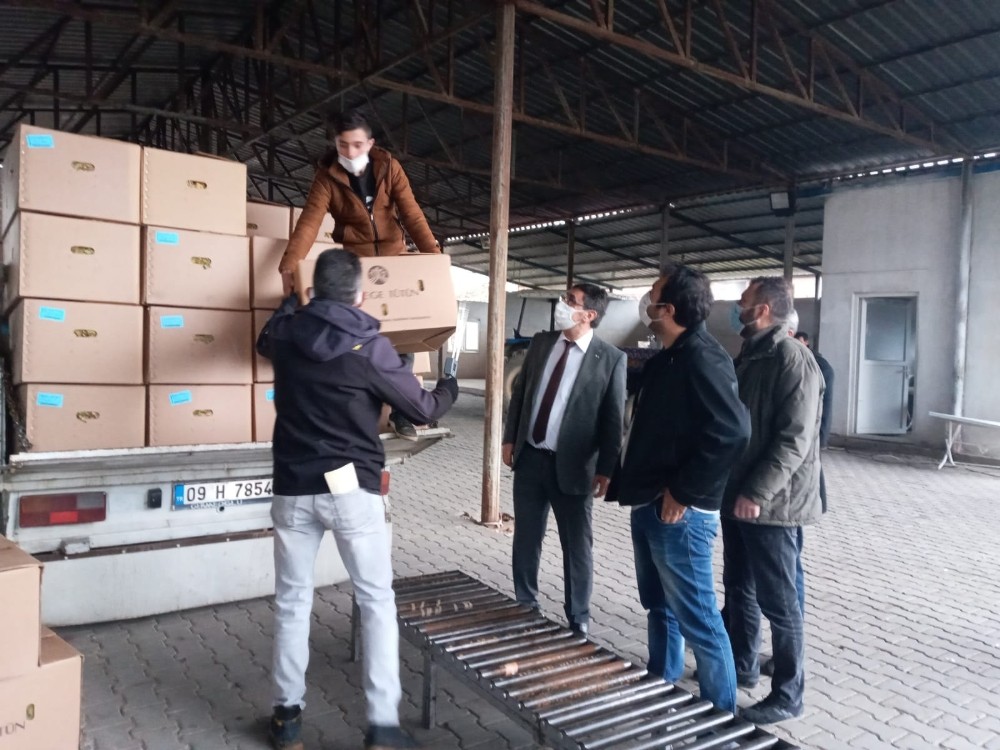 baskan inal tutun ureticilerimiz magdur oldu 1 4eplX2EY Başkan İnal; "Tütün üreticilerimiz mağdur oldu"