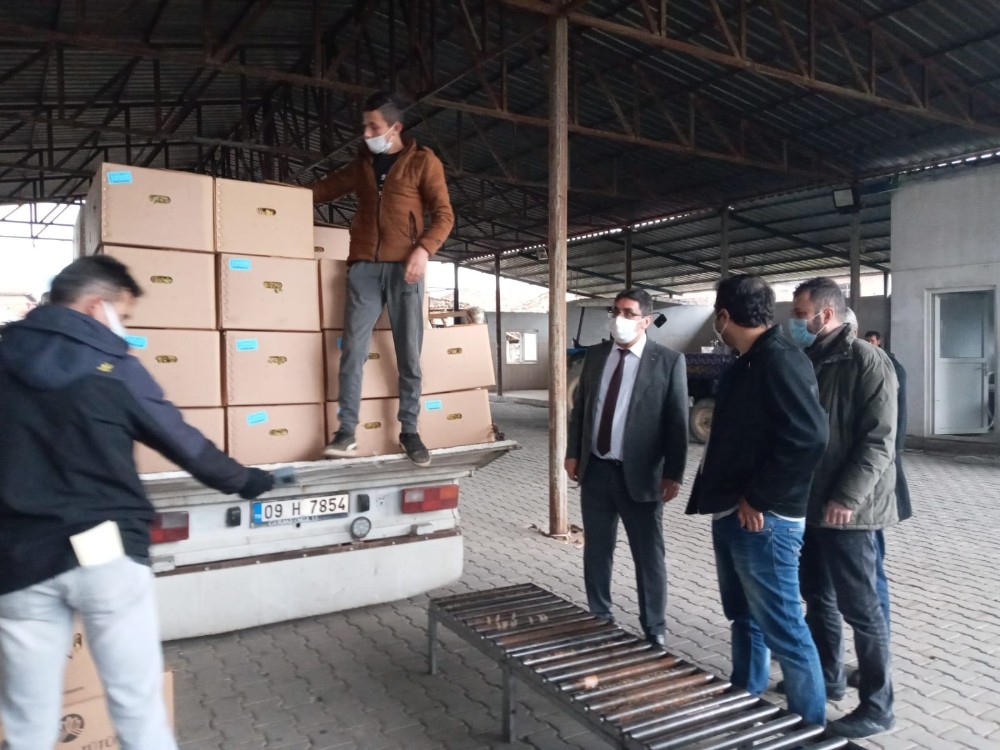 baskan inal tutun ureticilerimiz magdur oldu 2 HzYv1SDC Başkan İnal; "Tütün üreticilerimiz mağdur oldu"