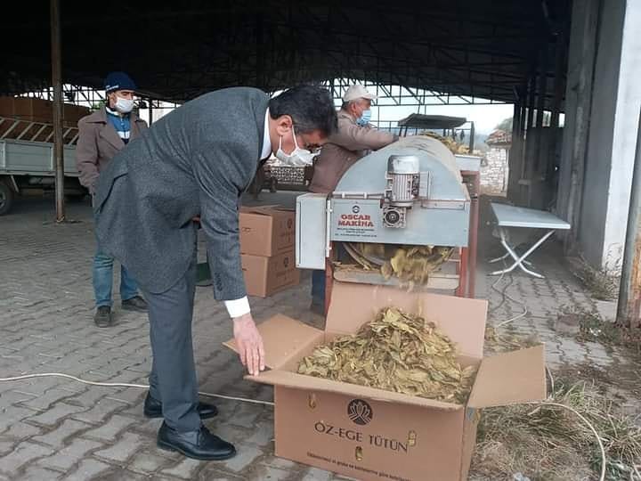 baskan inal tutun ureticilerimiz magdur oldu 3 rju6kTqn Başkan İnal; "Tütün üreticilerimiz mağdur oldu"