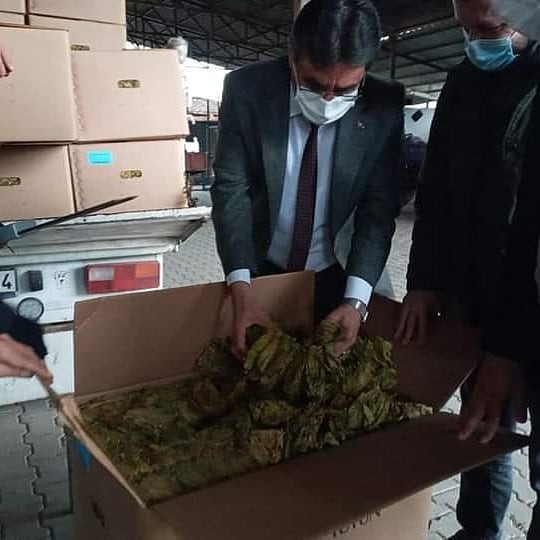 baskan inal tutun ureticilerimiz magdur oldu 5 VPCsdvtd Başkan İnal; "Tütün üreticilerimiz mağdur oldu"