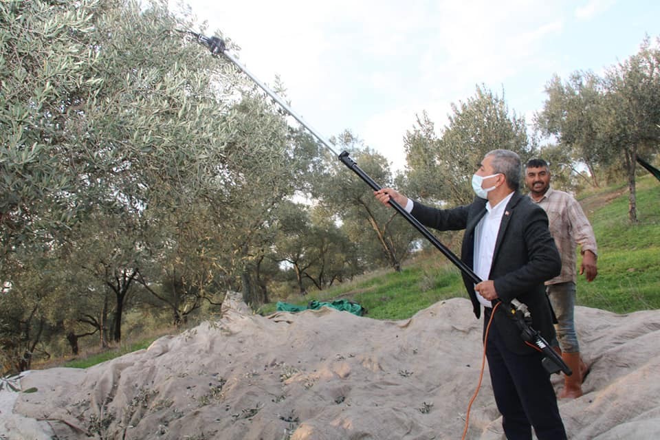 baskan kaplandan zeytin hasadi yapan ureticilere surpriz ziyaret 1 vJgz6vjq Başkan Kaplan’dan zeytin hasadı yapan üreticilere sürpriz ziyaret