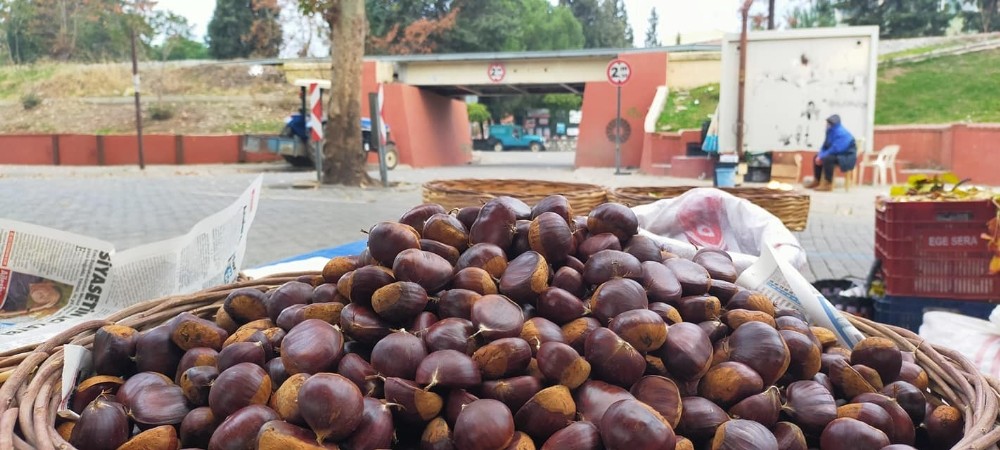 bu tezgahtaki urunlerin hepsi sifa deposu 2 kKttF6BU Bu tezgahtaki ürünlerin hepsi şifa deposu