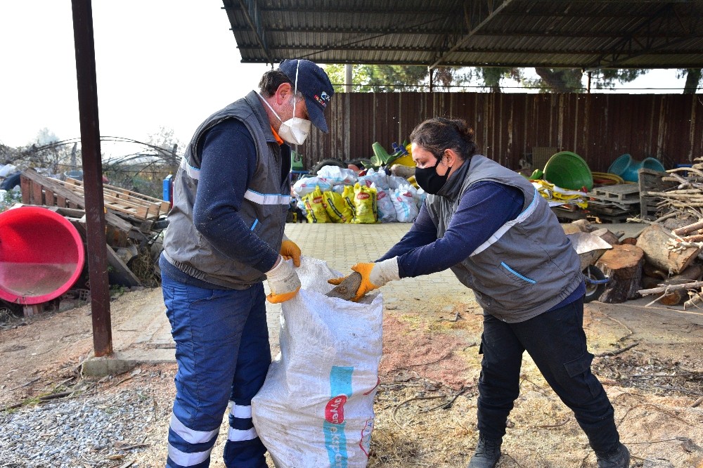 budanan agaclar ihtiyac sahiplerine yakacak oluyor 2 Budanan ağaçlar ihtiyaç sahiplerine yakacak oluyor