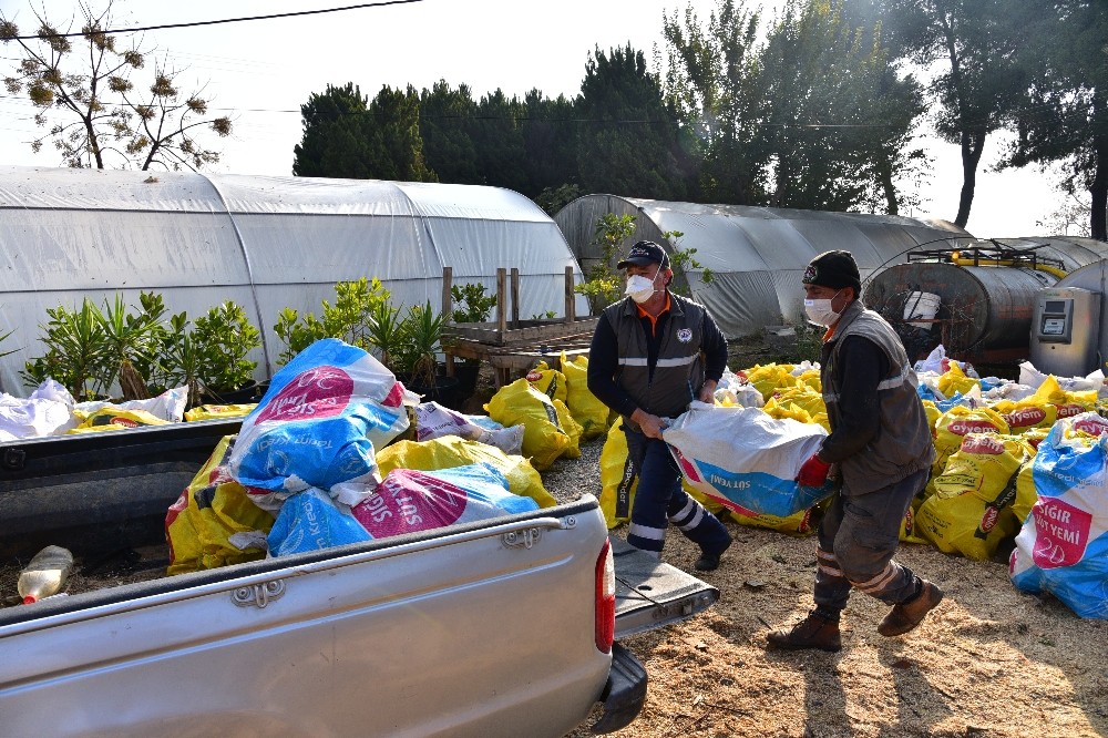 budanan agaclar ihtiyac sahiplerine yakacak oluyor 3 RJ2zfkP3 Budanan ağaçlar ihtiyaç sahiplerine yakacak oluyor