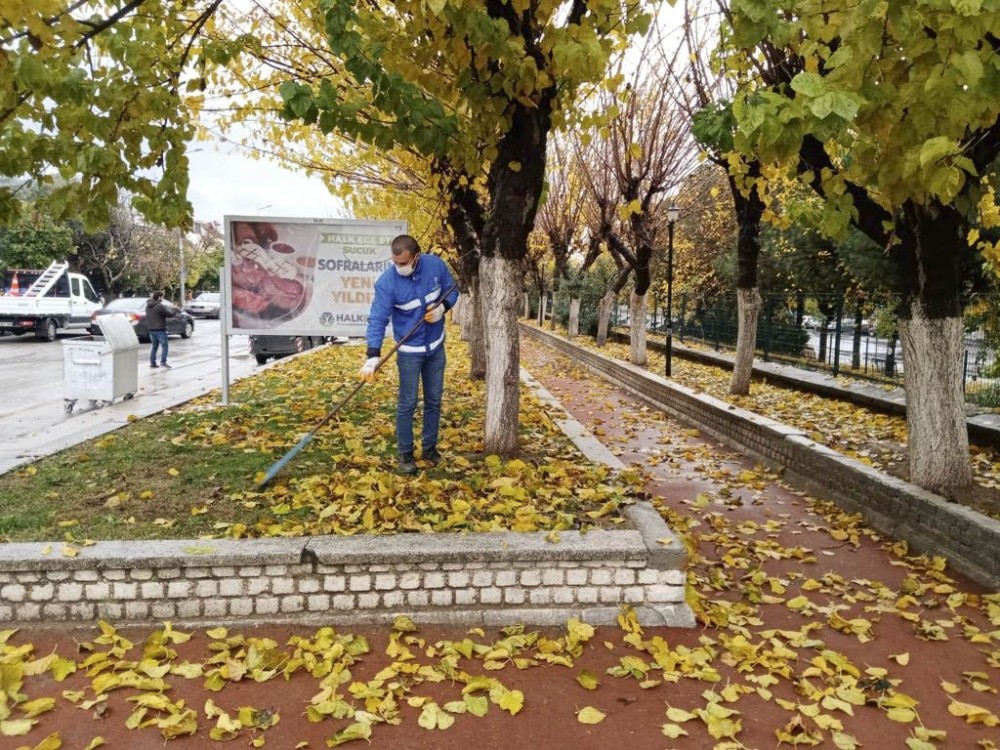 buyuksehir peyzaj calismalarina devam ediyor 1 PR8KMIVK Büyükşehir peyzaj çalışmalarına devam ediyor