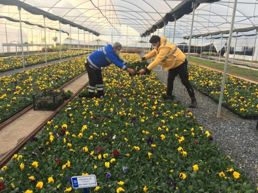 buyuksehir peyzaj calismalarina devam ediyor 3 7SKCBgvw Büyükşehir peyzaj çalışmalarına devam ediyor