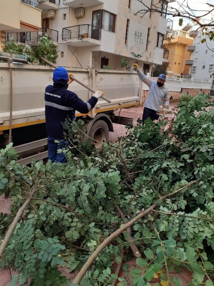 didimde temizlik calismalari suruyor 2 fniynijv Didim’de temizlik çalışmaları sürüyor