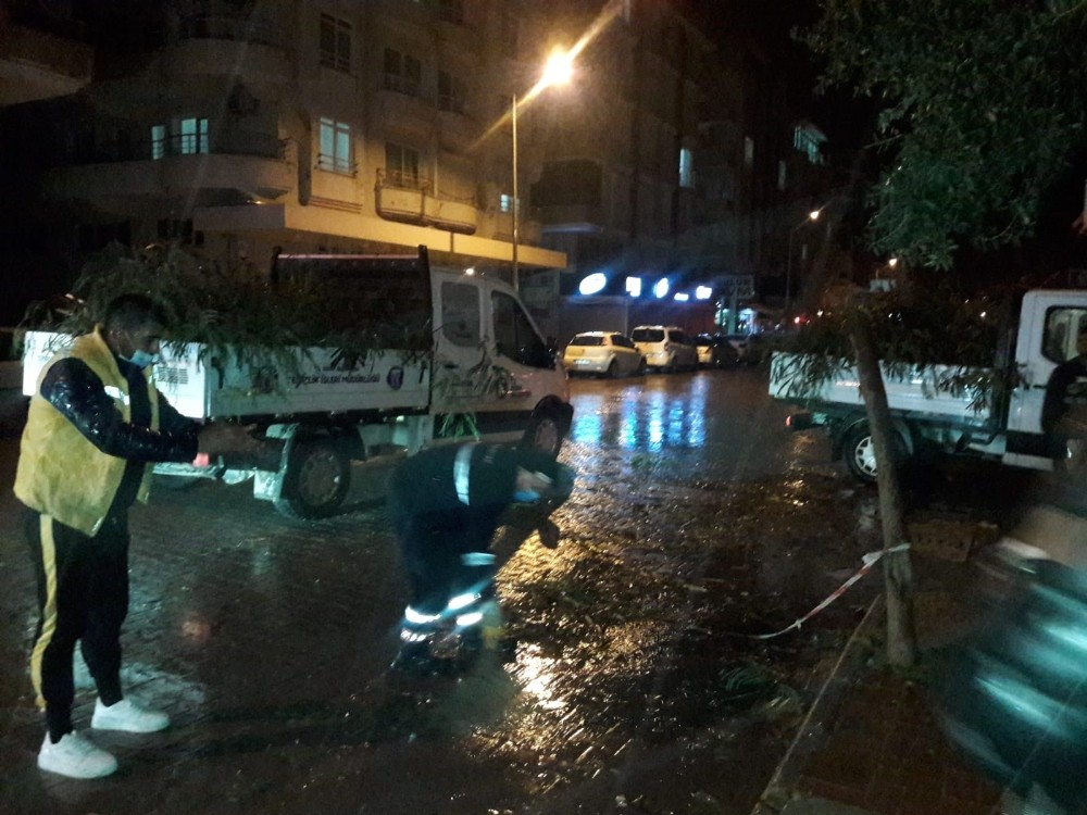 didimdeki parklarda temizlik calismalari devam ediyor 1 cAEHtweZ Didim’deki parklarda temizlik çalışmaları devam ediyor