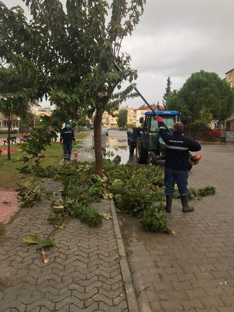didimdeki parklarda temizlik calismalari devam ediyor 3 B8fXOqOw Didim’deki parklarda temizlik çalışmaları devam ediyor