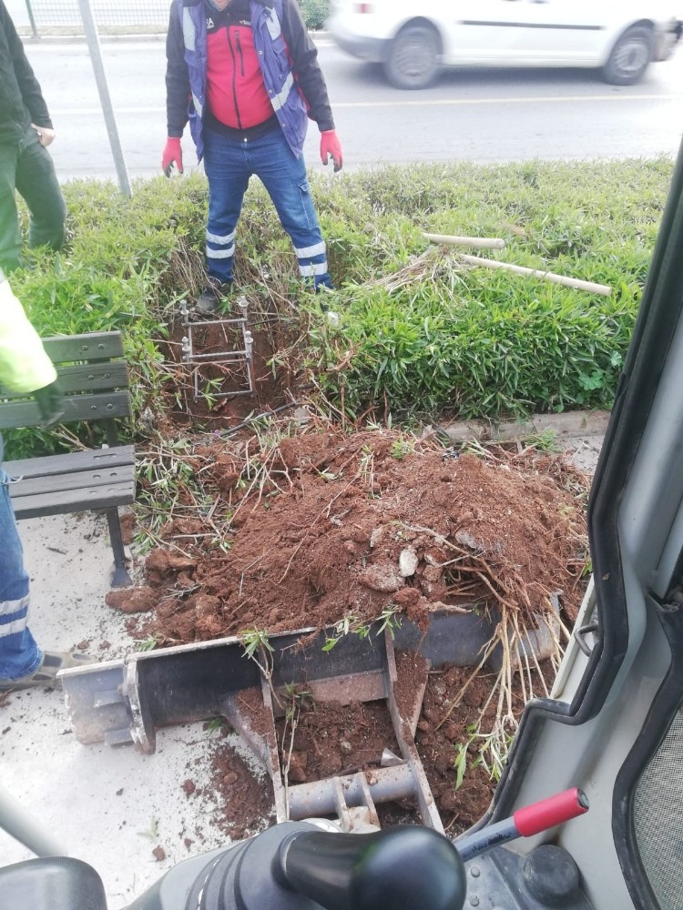 didimin cehresi degisiyor 2 Esvjd5NO Didim’in çehresi değişiyor