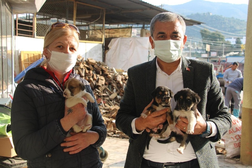 kocarliya hayvan haklari ile ilgili bilgilendirme pankartlari asildi 1 qwptrFfB Koçarlı’ya hayvan hakları ile ilgili bilgilendirme pankartları asıldı