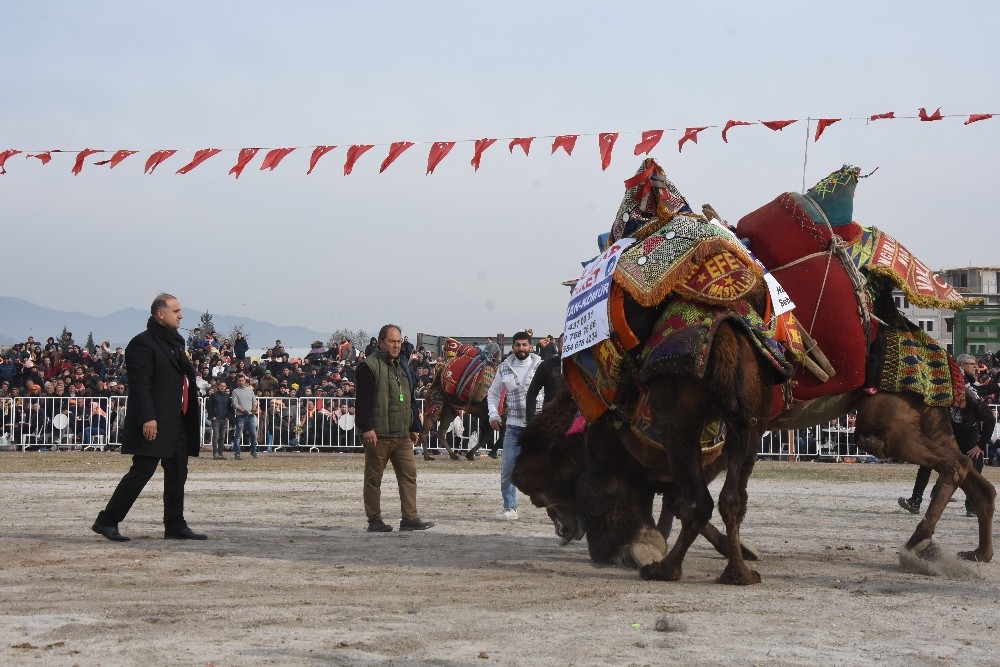 korona virus hayvanlar aleminde en cok develeri etkiledi 1 1RCCrmLO Korona virüs, hayvanlar aleminde en çok develeri etkiledi