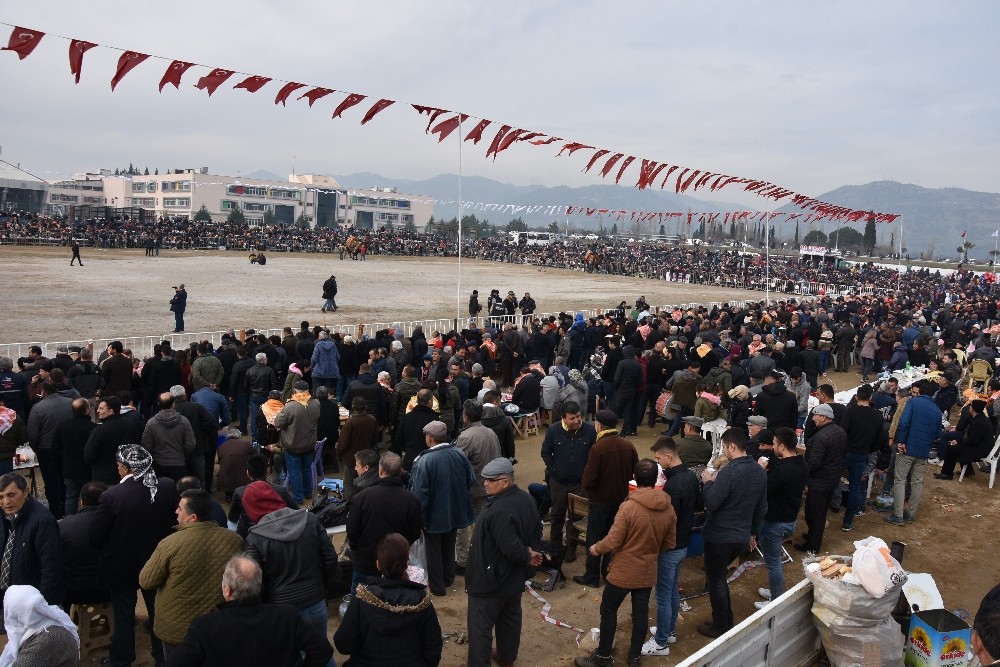 korona virus hayvanlar aleminde en cok develeri etkiledi 2 Korona virüs, hayvanlar aleminde en çok develeri etkiledi