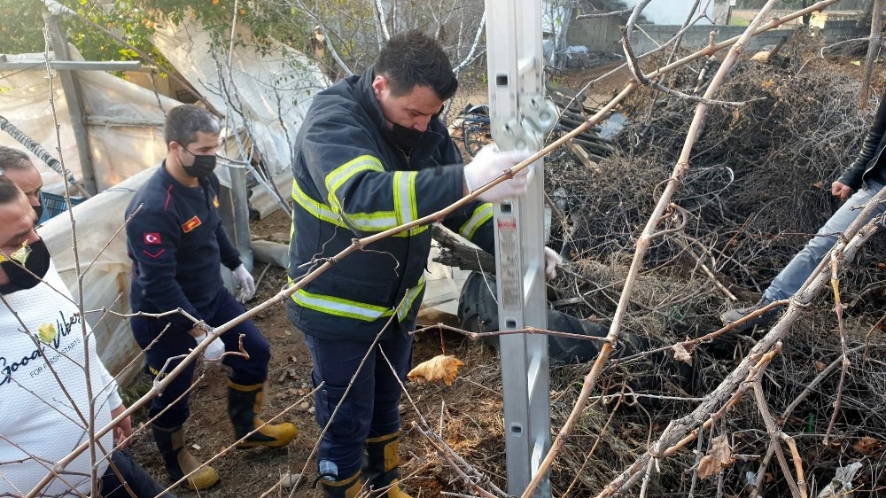 kuyuya dusen kopegi itfaiye kurtardi 2 jyGhZkBX Kuyuya düşen köpeği itfaiye kurtardı